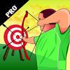 extrait jeux-video A Champion Archer PRO - Good Aim