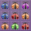 extrait jeux-video A Dotted Ladybugs Robotical