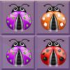 extrait jeux-video A Dotted Ladybugs Zoomer