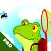 extrait jeux-video A Frog Hunter a Flies In The Sky PRO