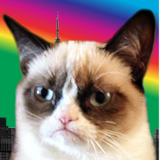 extrait jeux-video A Grumpy Cat in a City