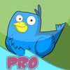 extrait jeux-video A Happy Holiday Jumping PRO