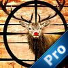 extrait jeux-video A Hunter Challenge Pro :Today is Deer Hunting 2016