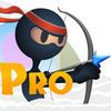 extrait jeux-video A Temple Archery PRO