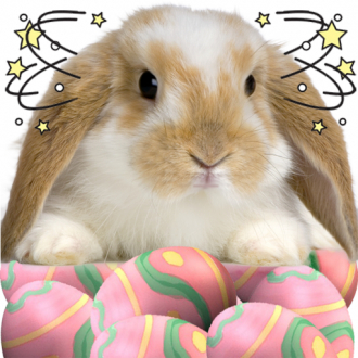 extrait jeux-video A Whack - A - Bunny HD