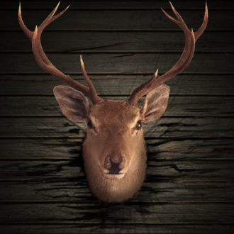 extrait jeux-video Ace Hunter 3D : Big Buck Deer Lite