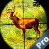 extrait jeux-video AdVenture Shooting Pro:The forest hunter in animal