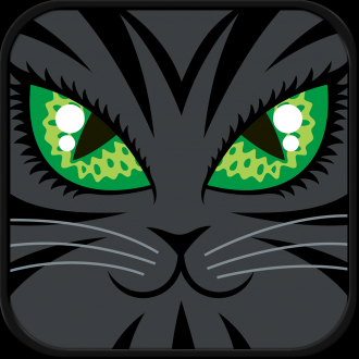 extrait jeux-video Amazing Magic Saga