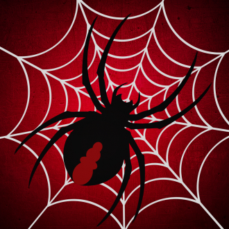 extrait jeux-video Amazing Sliding Spider Puzzle Pro
