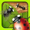 extrait jeux-video Angry Bugs