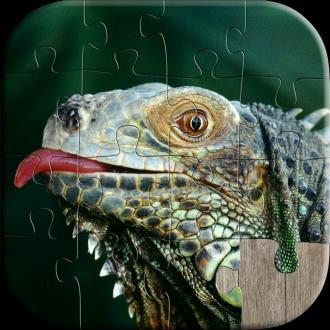 extrait jeux-video Animal FotoPuzzle for Toddlers - Cute 3D Jigsaw Picture Puzzle of Animals with Young Babies
