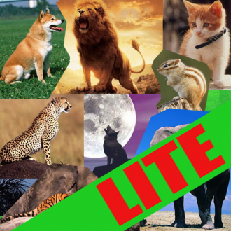 extrait jeux-video Animals in skewer lite