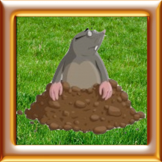 extrait jeux-video Animals World: Cartoon Moles Tap