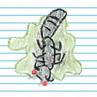 extrait jeux-video Ant Squash