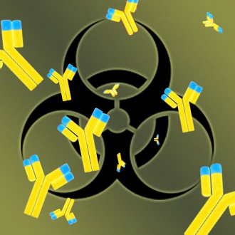 extrait jeux-video Antibody