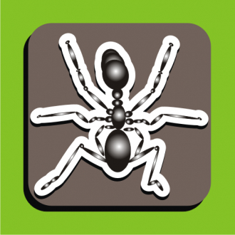extrait jeux-video AntZilla