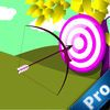 extrait jeux-video Archery Master Pro : This is the Fun Today