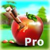 extrait jeux-video Arrow Head Pro :Target Practice Game