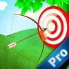 extrait jeux-video Arrow Master Pro : This is the Target Today!