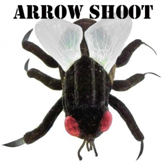 extrait jeux-video Arrow Shoot