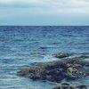extrait jeux-video Ashore