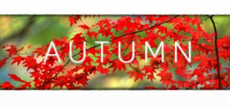 extrait jeux-video Autumn