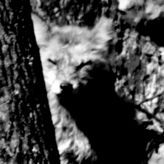 extrait jeux-video Avalon Toolbox