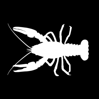 extrait jeux-video Avoid The Monsters