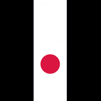 extrait jeux-video Avoid The Walls - Dont Touch The Line