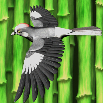 extrait jeux-video Bambird