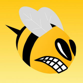 extrait jeux-video Bee Attack