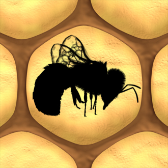 extrait jeux-video BeeKeeper