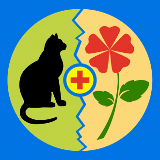 extrait jeux-video Best for Guess The Pic Combo