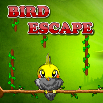 extrait jeux-video Bird Escape HD
