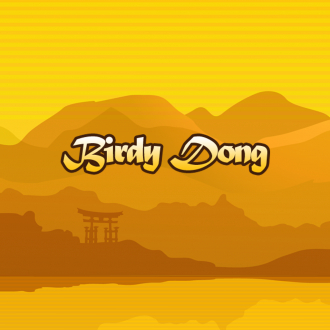 extrait jeux-video Birdy Dong Game