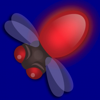 extrait jeux-video BlinkWit!