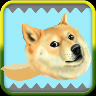 extrait jeux-video Bouncy Doge - Make The Doge Jump