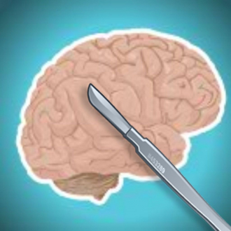 extrait jeux-video Brain Surgeon