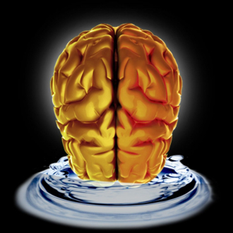 extrait jeux-video Brainwash: Mind Control Game