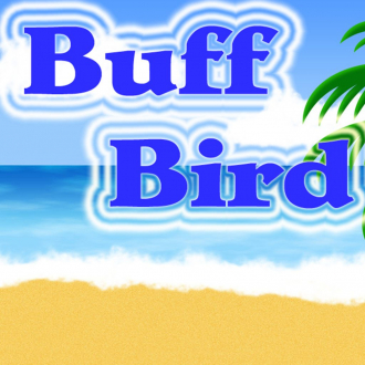 extrait jeux-video Buff Bird