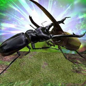 extrait jeux-video Bug Fighter