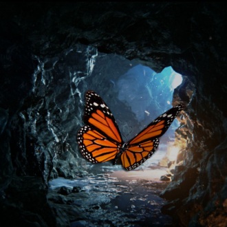 extrait jeux-video Butterfly Rush