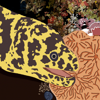 extrait jeux-video Caribbean board game