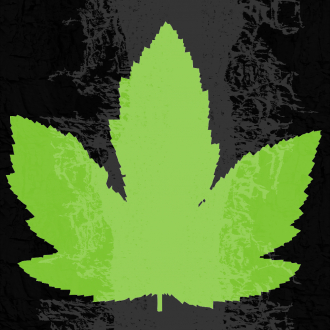 extrait jeux-video Cave Vine