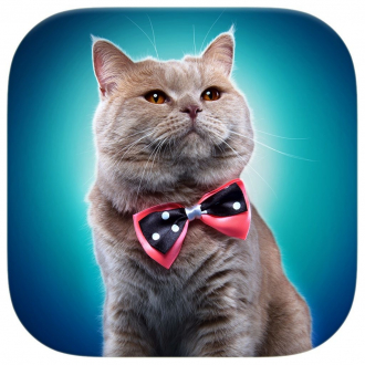 extrait jeux-video Chats mignons Slide Puzzle Free - Jolie Bengale, le persan et Coon Races