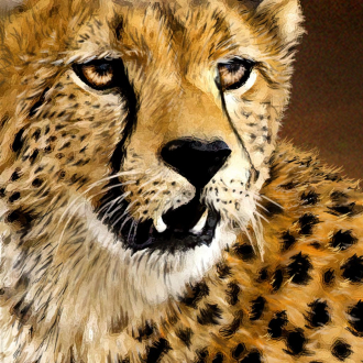 extrait jeux-video Cheetah King Kafue