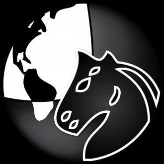 extrait jeux-video Chess Mini