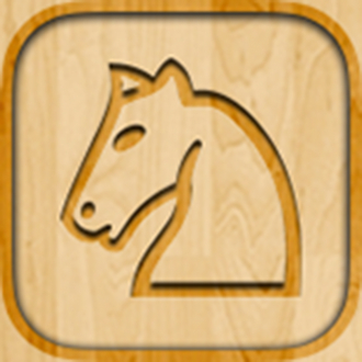 extrait jeux-video ChessEssentials