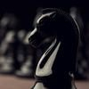 extrait jeux-video Chessimo 2.0