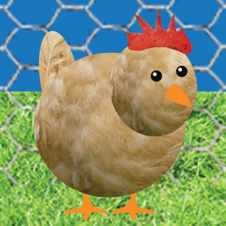 extrait jeux-video Chicken Pet Game